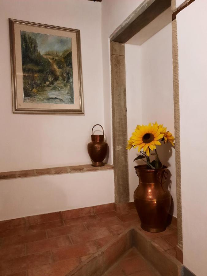 Sassomatto B&B Bioagriturelax Campogialli Exterior foto